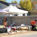 도리마을 숲 이미지