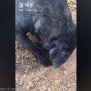 슈어미 이미지