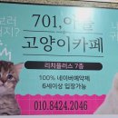 701아를고양이카페(cat in the art) 이미지