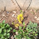 한들방죽공원 이미지