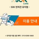 50k 반려견 유치원 이미지
