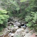 금성민박 이미지