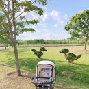 하단동1209 이미지