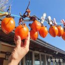 사진마당 이미지