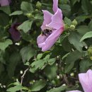 안양2동행정복지센터 이미지