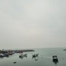 바다향수산 - 용인시 기흥구 기흥로 14 | 바다향수산