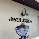 하나비 | [합정, 홍대 점심] 마제 소바 멘야하나비 내돈내산 솔직후기