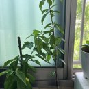 덕일농장 이미지