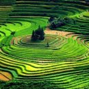 구사샘물 이미지