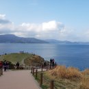 해외 못지않은 절경에 부모님도 감탄했어요" 사진보다 실물이 더 아름다운 힐링 여행지 이미지