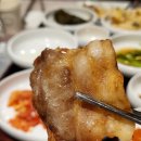 판교집 이미지