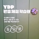 서울청사한빛어린이집 | [육아] 서울 아이랑 가볼만한곳 | 영등포 YDP 곤충...주차 정보 및 입장료 솔직 후기(주차 할인 꿀팁)