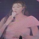 햇살그린발전소 701호 | [콘서트 후기] 에이핑크 다섯 소녀의 열정은 15년째 현재진행형 - 2026 Apink 콘서트 장충체육관 후기...