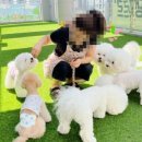 댕그르르 네이버블로그