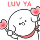 사개절 펫살롱 이미지