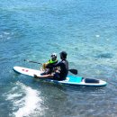 제주오케이렌터카 이미지