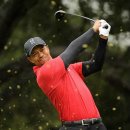 (주)파인스 이미지