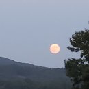 항아리갈비탕 이미지