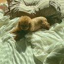 WR(대구광역시 서구)-50[국채보상로]-하-20 | “ [2026] 블로그 85문답 ”