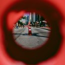 예쁜안경원 이미지