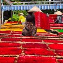 한중산업 | 한중 RE100 협력, 새만금에서 꽃피다!