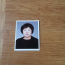 이미자농장 이미지