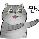 싸게파는집 이미지