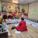 도풀이네 이미지