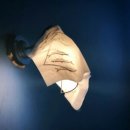 송어의꿈 이미지