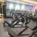 나만의 GYM 이미지