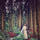 폰카로 사진 잘 찍는 방법 이미지