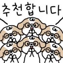 아르젠떼 이미지