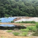 소로리 농장 이미지