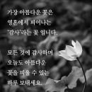 푸른향기 이미지