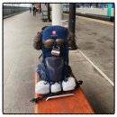 외씨버선길 | 외씨버선길에서의 백패킹 가능성을 보여주신 외(ㅆ)도(ㅈ)씨&#39;s STORY