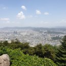 서울통닭 - 합천군 충효로 45-1 | 서울통닭