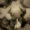 우장산근린공원 이미지