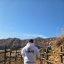 홍천산양목장 이미지