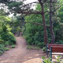 소사고등학교 이미지