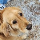 청남대 펜션 이미지