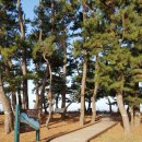 궁평펜션 이미지