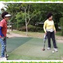 종합운동장(골프장) 이미지