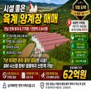 전남양계장 Daum카페