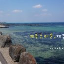 선운목장 이미지