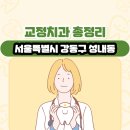 성내동001 이미지