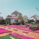 허브내음 이미지