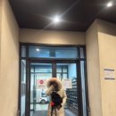 푸드엔프렌드