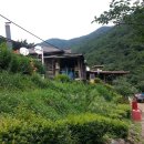 으뜸농원 이미지