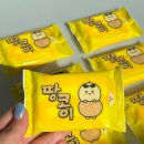 캠핑/글램핑 이미지