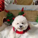 태담이네 하우스 이미지